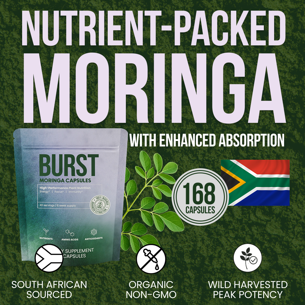 Moringa BURST Capsules - 6 Week Supply