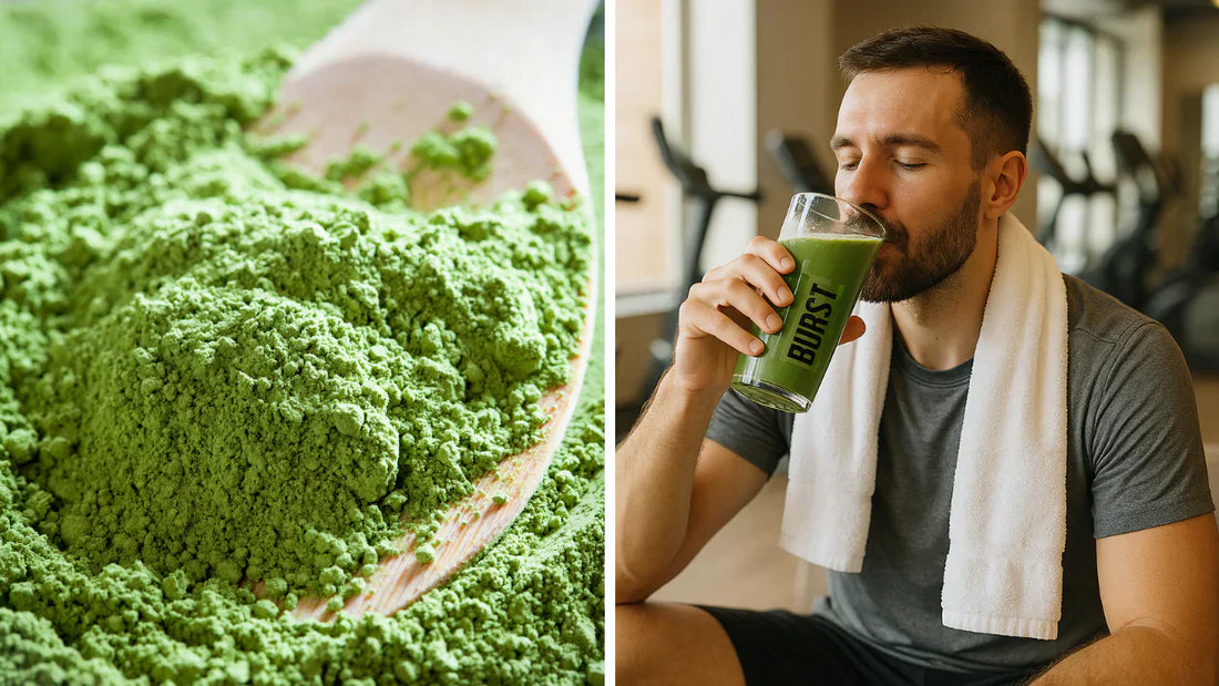 BURST Moringa for Immunity