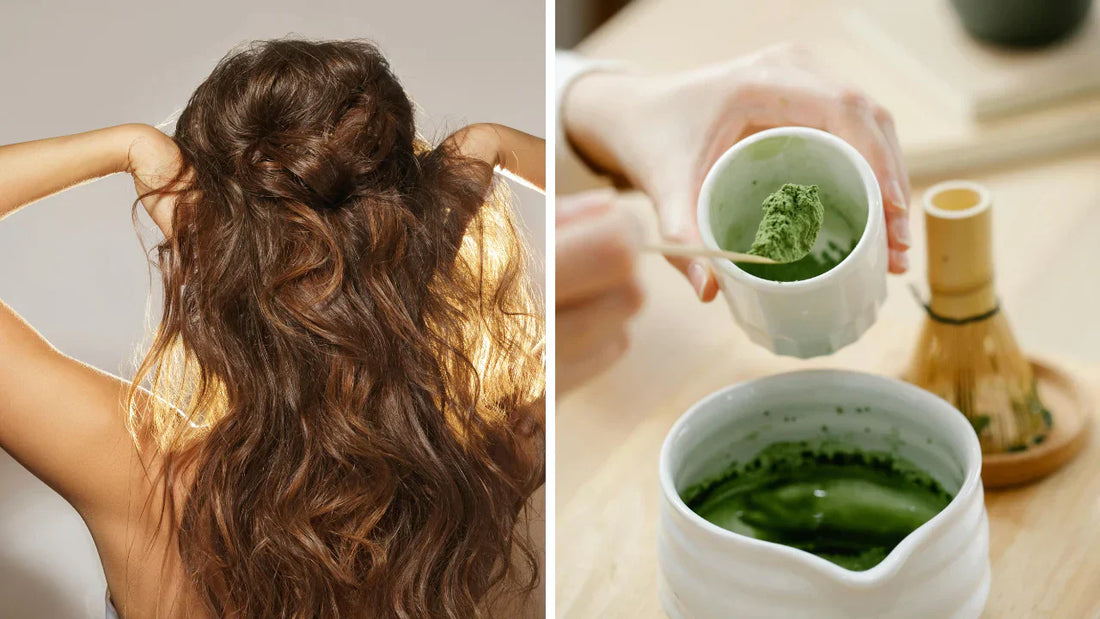 Moringa Benefits for hair and Skin
