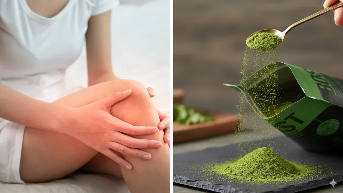 Moringa for Inflammation and Joint Health: What the Research Shows