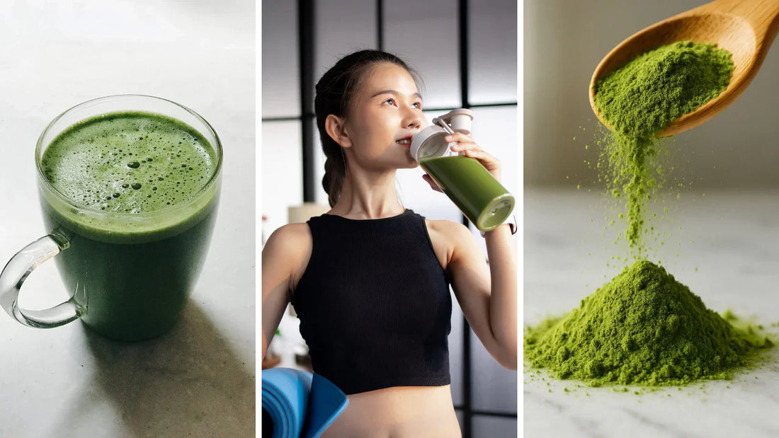 Evidence-aware daily moringa dosage guide for powder and capsules