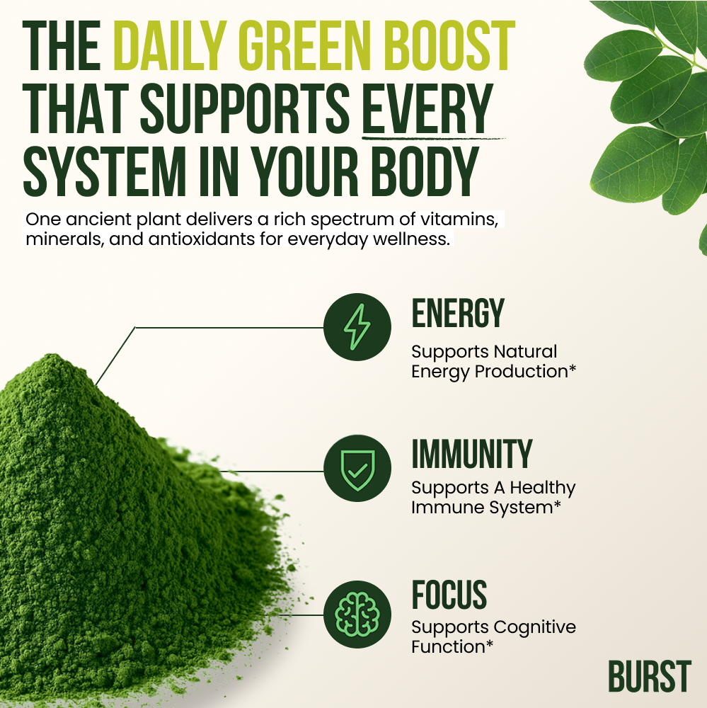 Moringa BURST Powder - 6 Week Supply